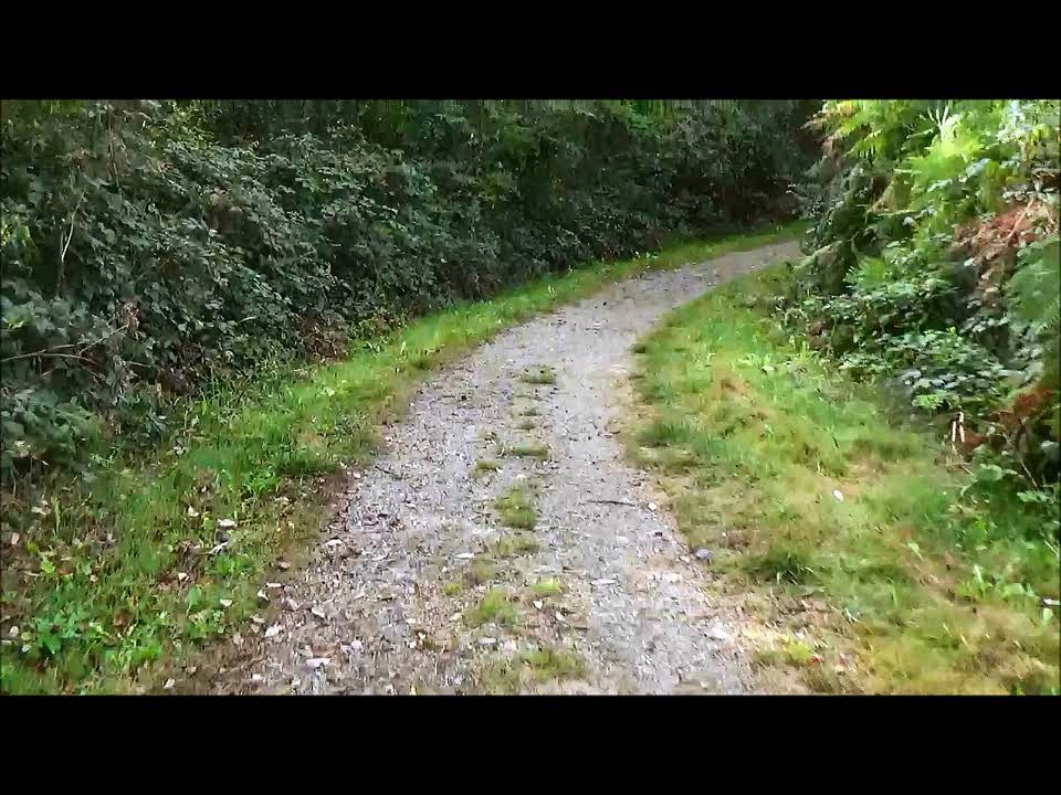 Ma promenade de ce dimanche le tour du lac de Gabas pyrénées atlantiques