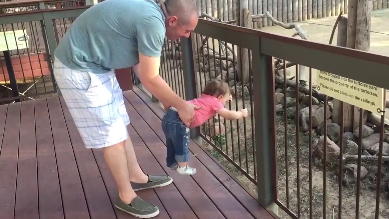 Quand ta fille ne veut pas partir du Zoo... Tellement drôle!