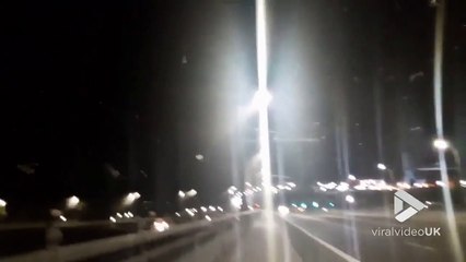 Des millions d'insectes envahissent une ville