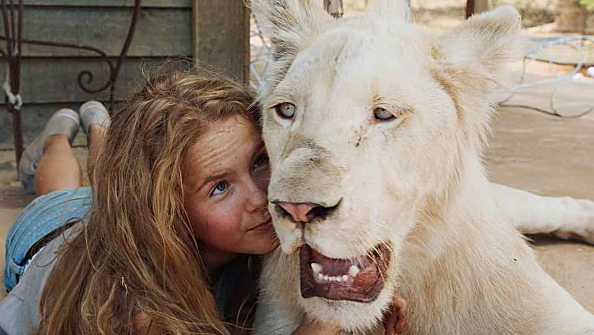 Mia Et Le Lion Blanc Trailer Hd Video Dailymotion