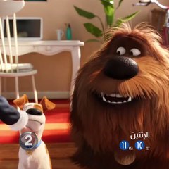 انتظروا العرض الحصري لفيلم The Secret Life of Pets يوم الإثنين القادم على شاشة #MBC2