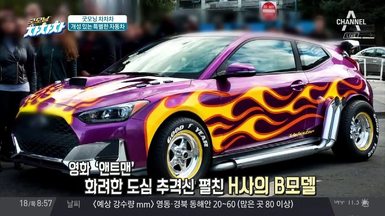 개성 있는 특별한 자동차