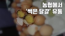 [자막뉴스] 농협에서 '썩은 달걀' 유통...대응도 허술 / YTN