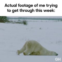 Trying to Get Through This Week