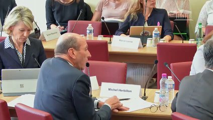 Commission des affaires étrangères : M. Jean-Baptiste Lemoyne, Secrétaire d’État auprès du ministre de l’Europe et des Affaires étrangères - Mercredi 17 octobre 2018