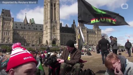 Canada First Industrialized Nation To Legalize Pot