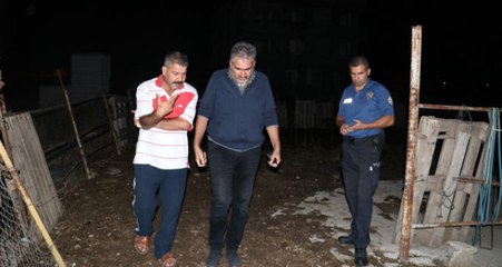 Adana'da, 400 Bin TL Değerindeki İngiliz Yarış Atını Yavrusuyla Birlikte Çaldılar