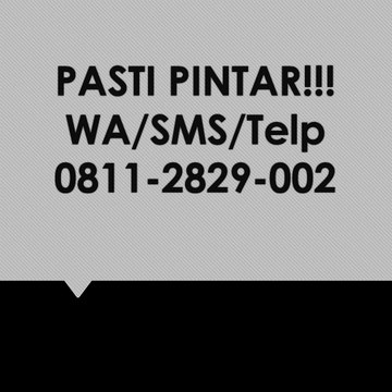 PASTI PINTAR!!! Kelas Whatsapp Marketing, WA/SMS/Telp 0811-2829-002