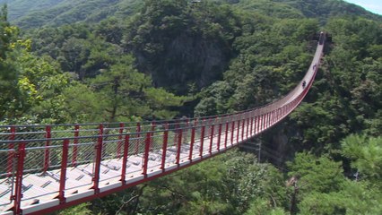 아찔한 출렁다리 안전도는 '낙제점' / YTN