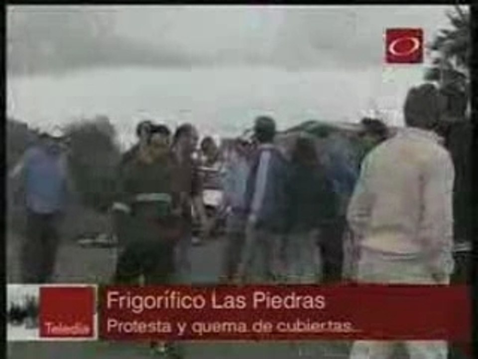 Conflicto en la carne