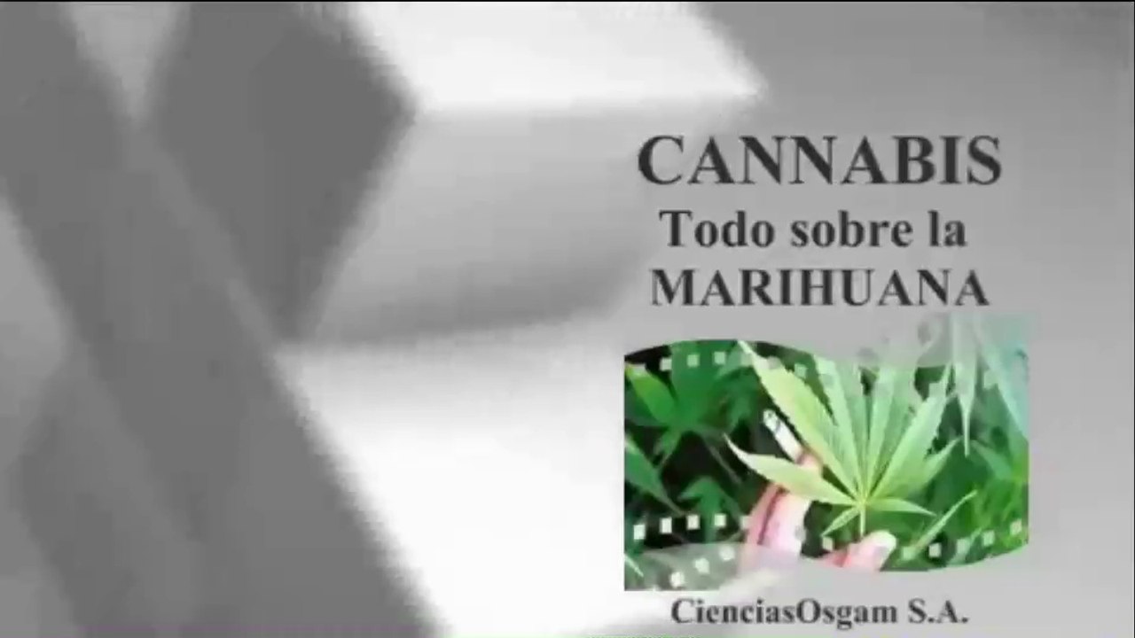 EL CANNABIS - TODO SOBRE LA MARIHUANA : DOCUMENTAL COMPLETO