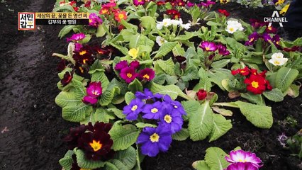 [선공개] 아픈 꽃들이 가는 병원이 따로 있다!!