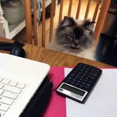 When you've been at work for a whole hour and still aren't a millionaire 