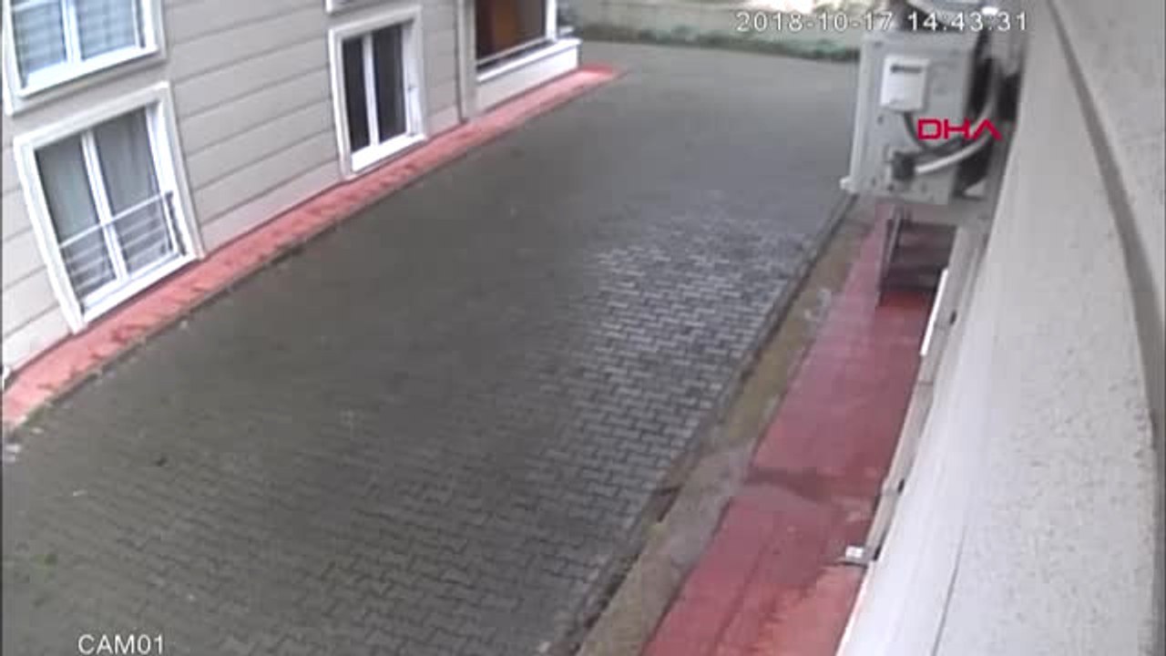 Bursa Okuldan Dönen İlkokul Öğrencisi Köpeklerin Saldısına Uğradı