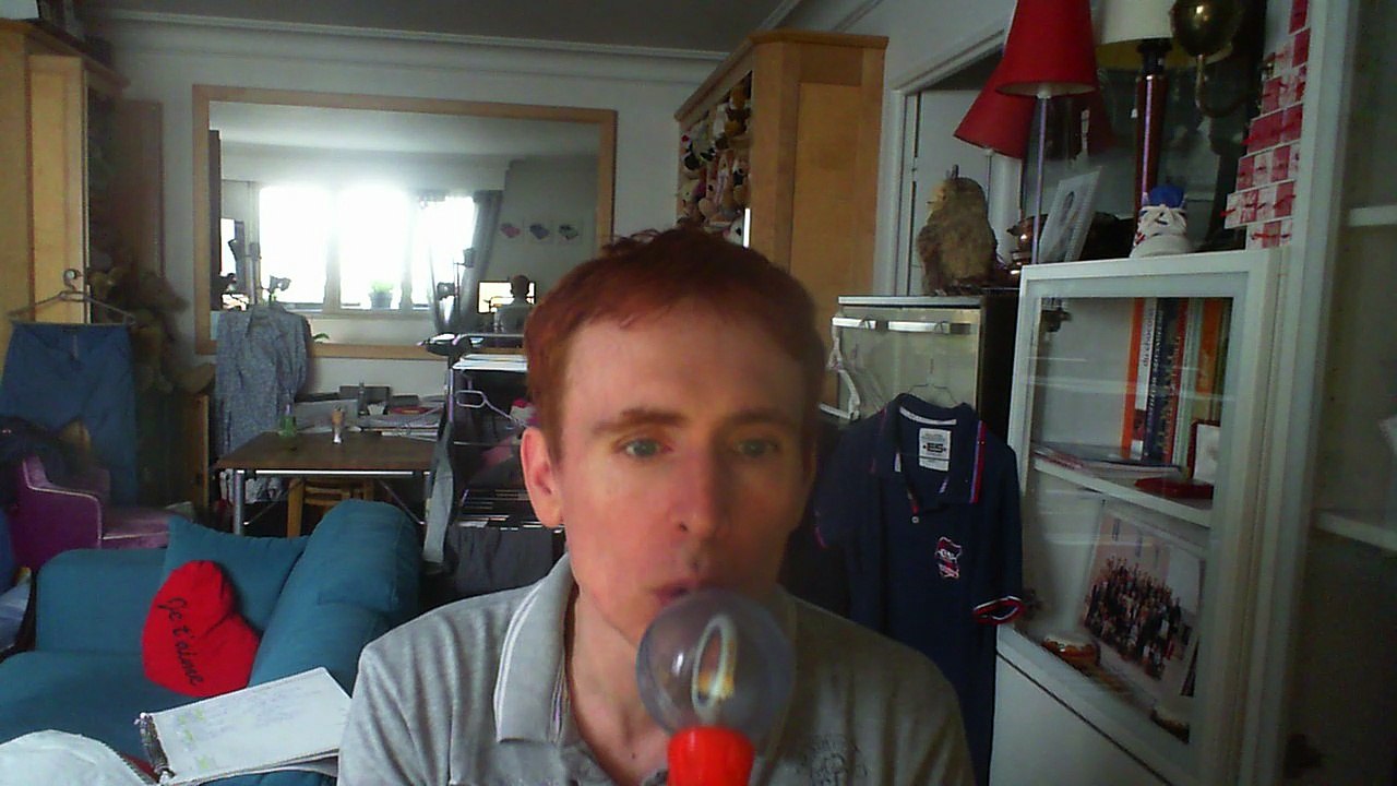 Wiwi égratigne "à la fête du canton" de Georges Bloch