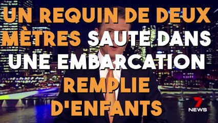 Un requin de deux mètres saute dans une embarcation remplie d'enfants !