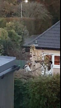 Guy drying his clothes with a leaf blower