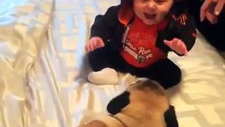 Funny Babies Laughing!