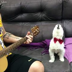 When animals learn how to be singers!