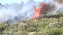 Lushnje, zjarre edhe në tetor - Top Channel Albania - News - Lajme