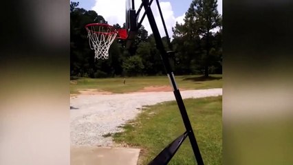 Une météorite tombe au beau milieu de son jardin !