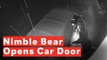 Watch Crafty Bear Open Car Door For Inspection