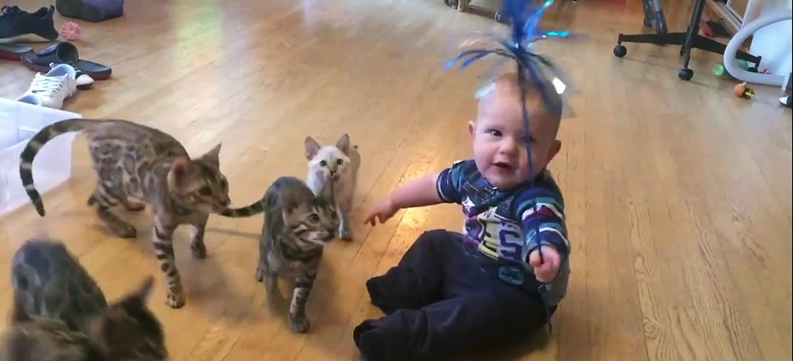 Baby Uses Stick Toy to Play With Kittens