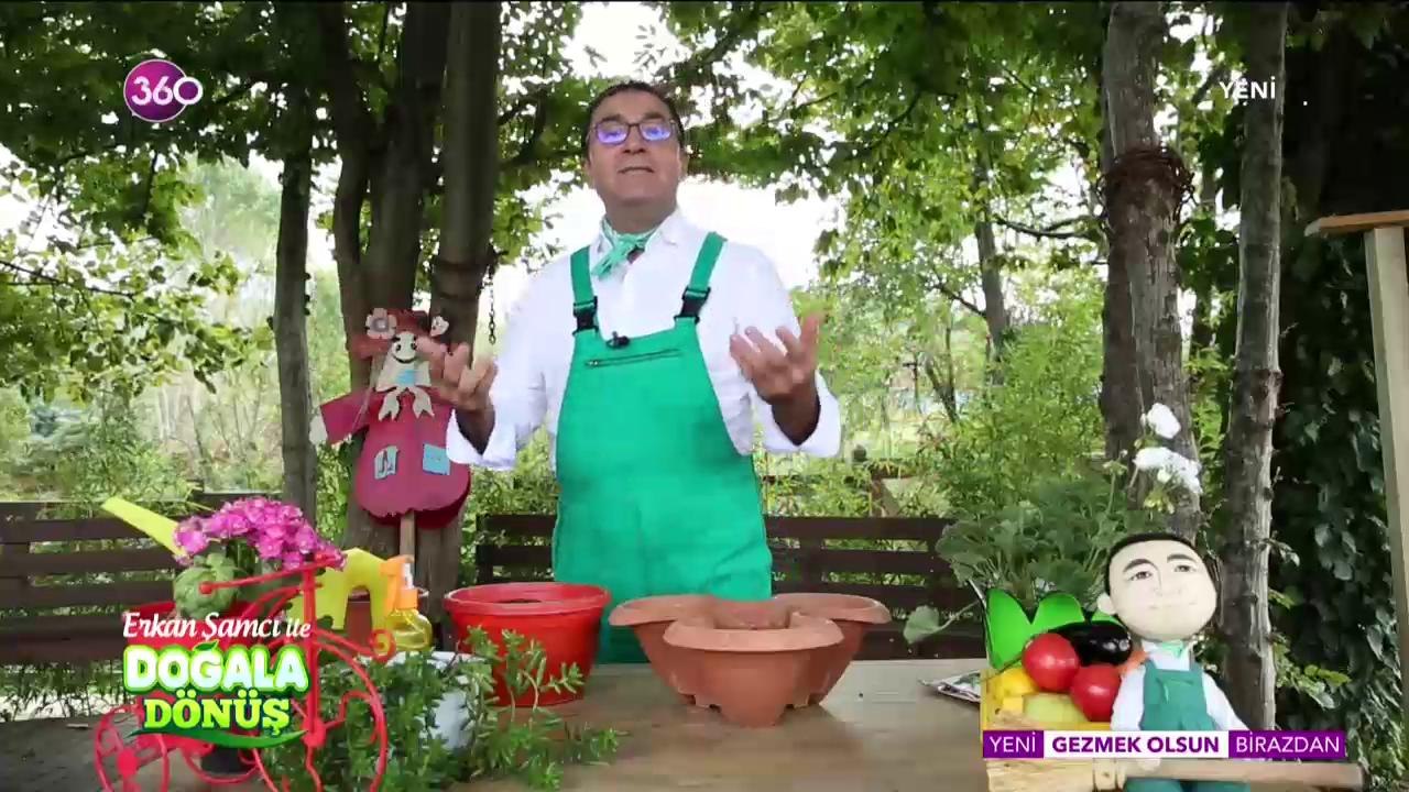 Doğala Dönüş