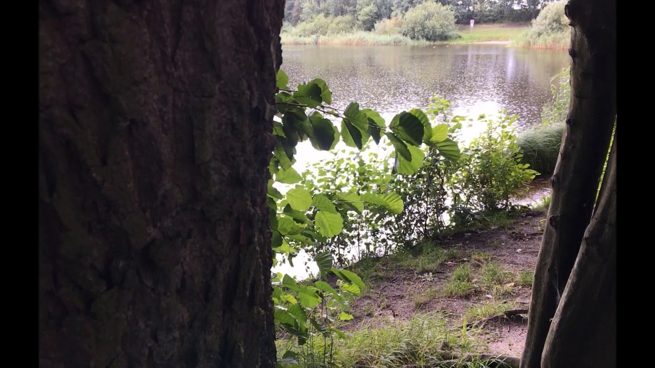 Kreis Pinneberg - Herbst 2018 /Full Film/Ganzer Film/Complete Movie