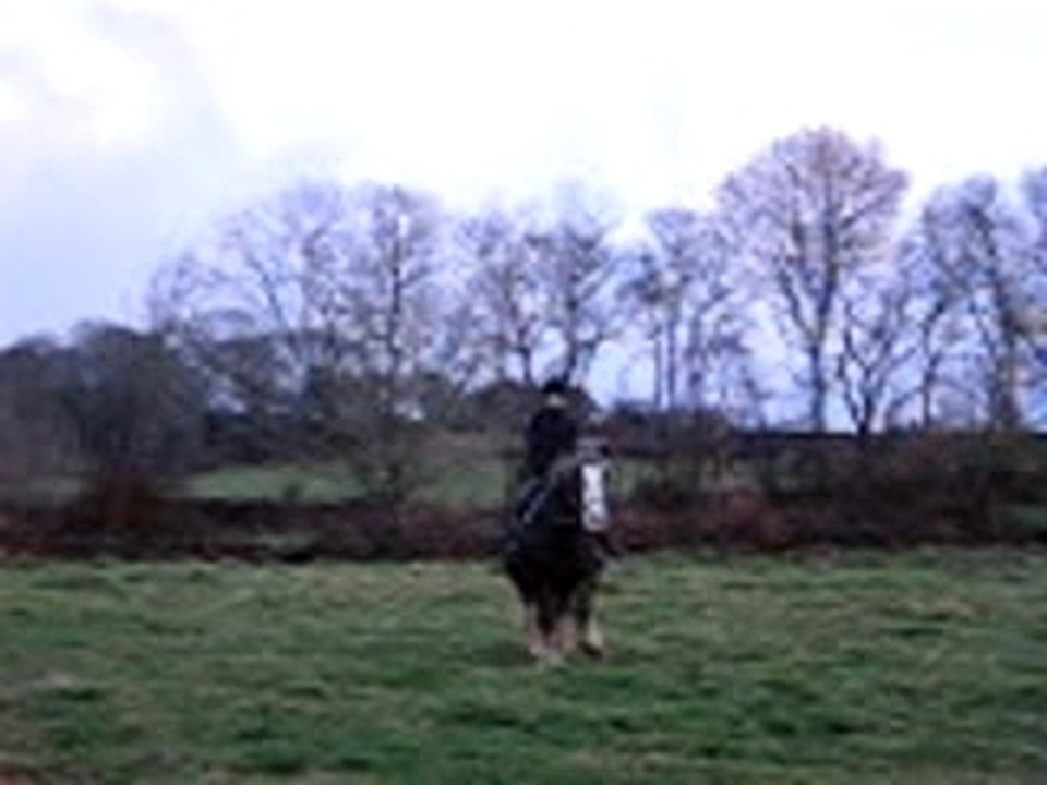 Cession à la jambe  au  trot