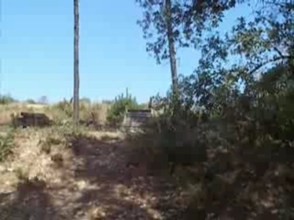RideXperience 1