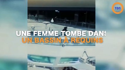 Cette femme tombe dans un bassin à requins !