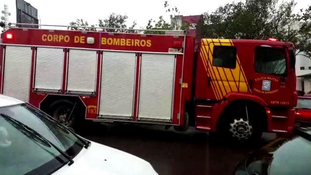 Bombeiros realizam corte de árvore na Rua Souza Naves