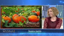 Rudina - Vlerat ushqyese te kungullit dhe disa receta si ta gatuajme ! (18 tetor 2018)