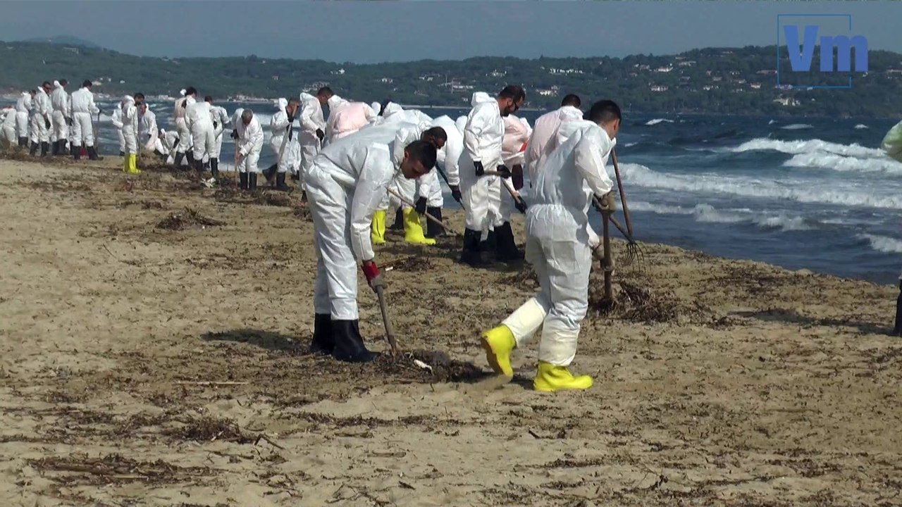 Pollution aux hydrocarbures la dépollution des plages du golfe de Saint-Tropez a commencé