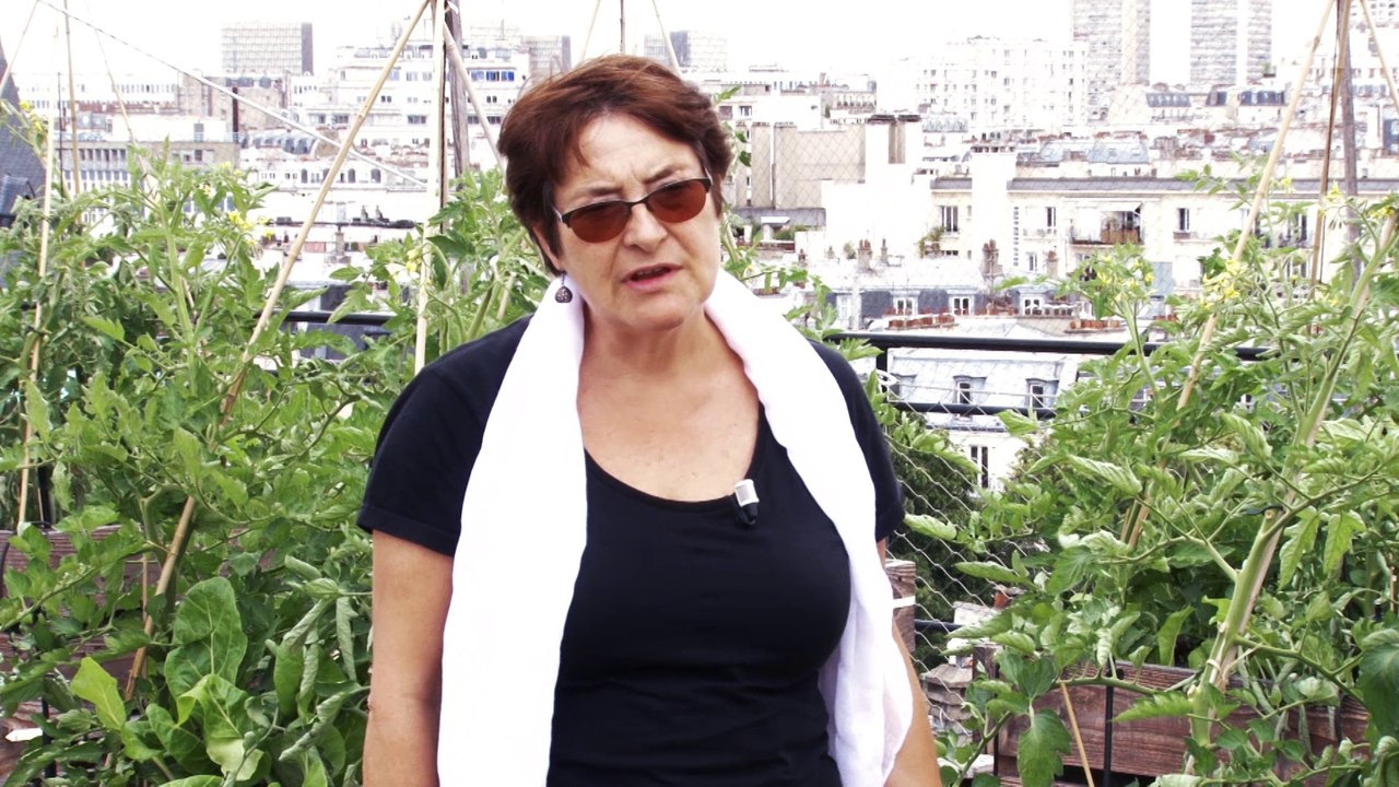 L’agriculture urbaine, définitions et enjeux