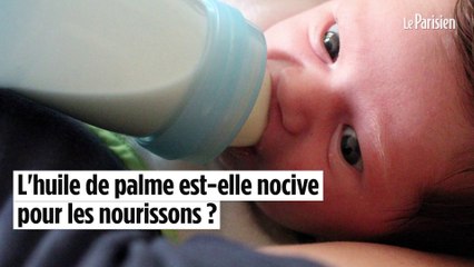 L'huile de palme dans le lait infantile est-elle dangereuse ?