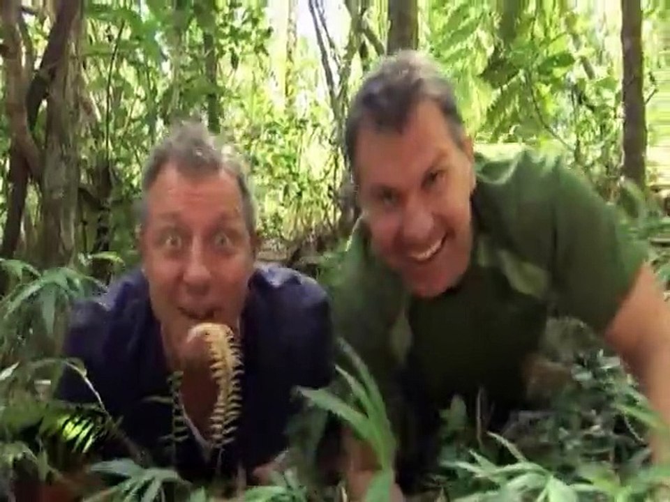 Wild Kratts S03E21 Mini Madagascar