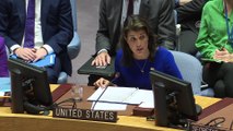 Birleşmiş Milletler Güvenlik Konseyi toplantısı - NEW YORK
