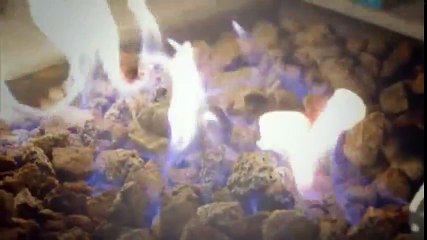 The Ultimate Fhter Latin America S02 - Ep03 HD Watch