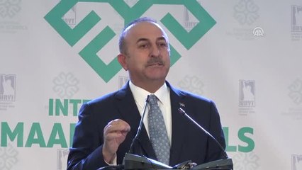 Descargar video: Çavuşoğlu, Maarif Okulları Akademik Yıl Açılış Töreni (4)