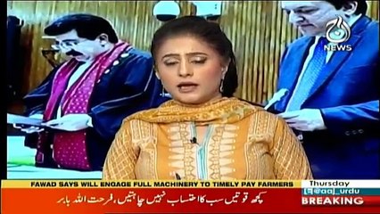 Spot Light - 18th October 2018