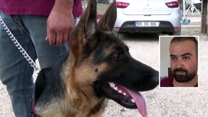 Hırsızlardan Kurtulup 112’ye Sığınan Köpeğin Hikayesi