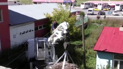 Sağlık Merkezindeki 54 Yıllık Leylek Yuvası Vinçle Taşındı