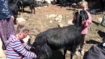 Sevcan'ın Eğitim Aşkına Ne Taşımalı Sistem Ne Yaylada Çobanlık Engel Olabildi
