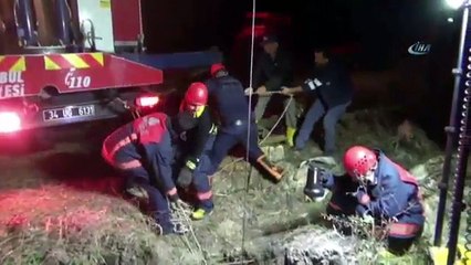 Çukura Düşen Danayı İtfaiye Ekipleri Kurtardı