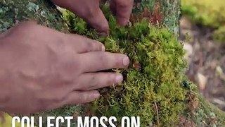 Create a moss-some work of art with this tutorial from HGTV. 