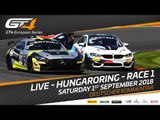 Race 1 - Budapest - GT4 European Series 2018 - German