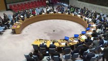 Birleşmiş Milletler Güvenlik Konseyi Toplantısı - New