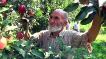 75 Yaşındaki Ahmet Dede Gençlere Taş Çıkartıyor